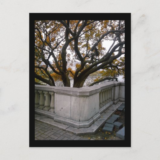 abgegrenztes Aquarium: Herbst Postkarte (Vorderseite)