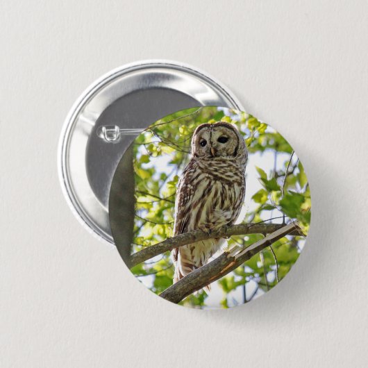 Abgehaltene Eule Button (Vorne & Hinten)