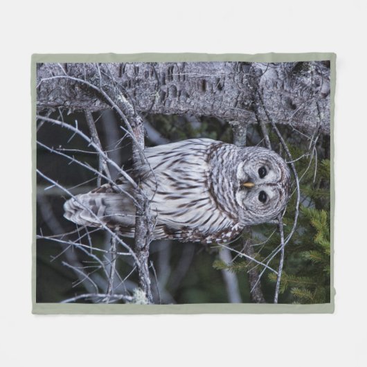 Abgehaltene Eule Fleecedecke (Vorderseite (Horizontal))