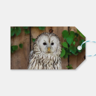 Abgehaltene Eule Geschenkanhänger