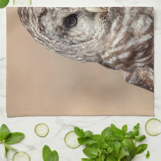 Abgehaltene Eule Geschirrtuch (Gefaltet)