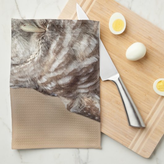 Abgehaltene Eule Geschirrtuch (Viertel Falte)