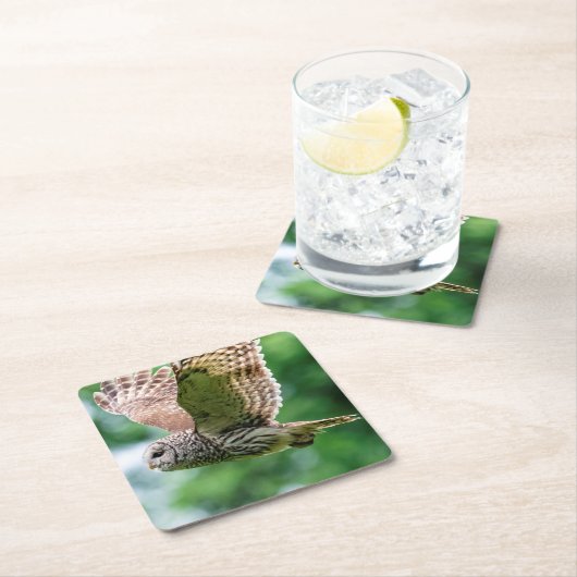 Abgehaltene Eule im Flug Rechteckiger Pappuntersetzer (Vor Ort)