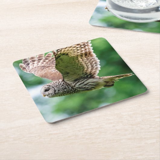 Abgehaltene Eule im Flug Rechteckiger Pappuntersetzer (angewinkelt)