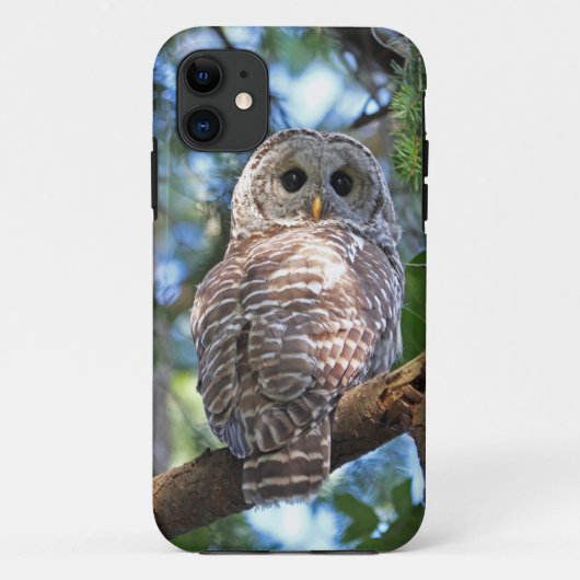 Abgehaltene Eule im Wald Case-Mate iPhone Hülle (Rückseite)
