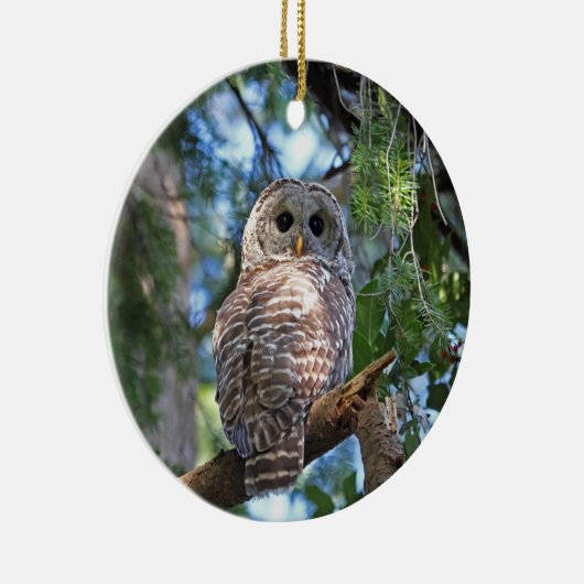 Abgehaltene Eule im Wald Keramikornament (Rechts)