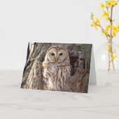 Abgehaltene Eule in der Baum-Nest-Karte Karte (Gelbe Blume)