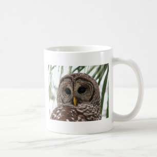 Abgehaltene Eule Kaffeetasse