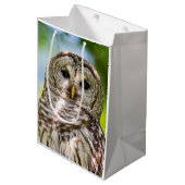 Abgehaltene Eule Mittlere Geschenktüte (Vorderseite Schrägansicht)