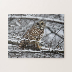 Abgehaltene Eule Puzzle
