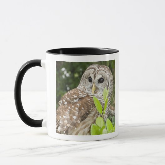 Abgehaltene Eule Tasse (Links)