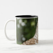Abgehaltene Eule Zweifarbige Tasse (Links)