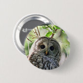 Abgehaltene Eulen-Anstarren Button (Vorne & Hinten)