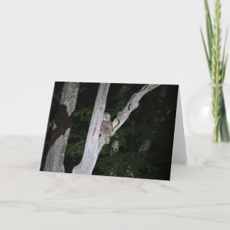 Abgehaltene Eulen-Gruß-Karte, leeres Innere Karte