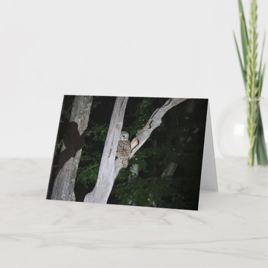 Abgehaltene Eulen-Gruß-Karte, leeres Innere Karte (Vorderseite)