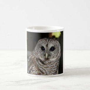 Abgehaltene Eulen-Kaffee-Tasse Kaffeetasse