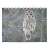 Abgehaltene EuleStrix Varia Kalender (Titelbild)