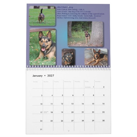 ABGELAUFEN: AIDog Kalender 2014 (Jan 2027)