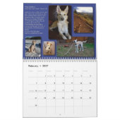 ABGELAUFEN: AIDog Kalender 2014 (Feb 2027)