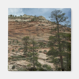 Abgenutzte Felsmauern im Zion National Park Magnet