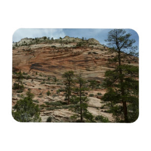 Abgenutzte Felsmauern im Zion National Park Magnet