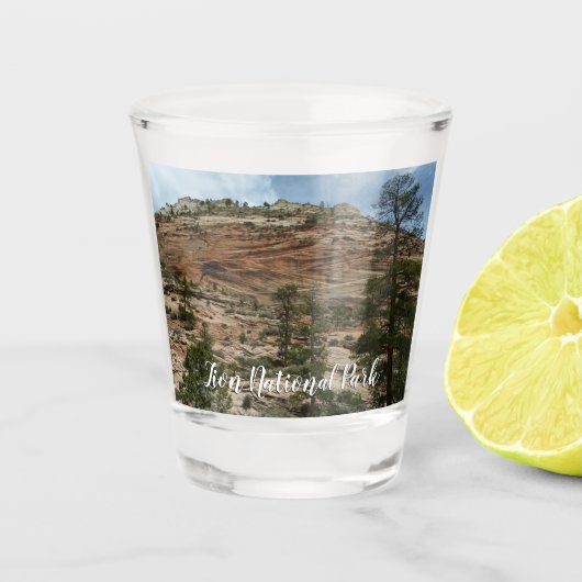 Abgenutzte Felsmauern im Zion National Park Schnapsglas (Vorderseite)