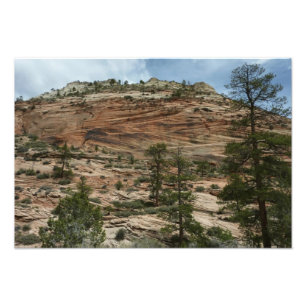 Abgenutzte Felsmauern im Zion-Nationalpark Fotodruck