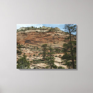 Abgenutzte Felsmauern im Zion-Nationalpark Leinwanddruck
