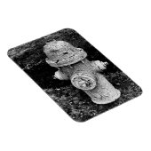 Abgenutztes, abgesplittertes, rostiges altes Feuer Magnet (Rechte Seite)