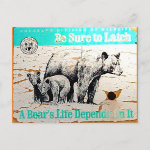 Abgenutztes Bärenschild, Bären Gerettet, CO Postkarte