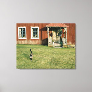 Abgenutztes rotes Haus mit einer Katze auf dem Leinwanddruck