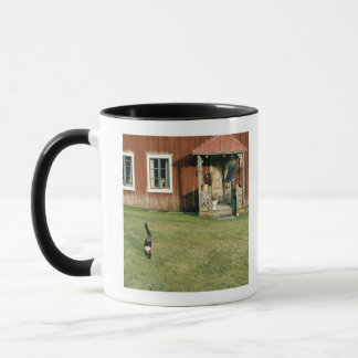 Abgenutztes rotes Haus mit einer Katze auf dem Tasse
