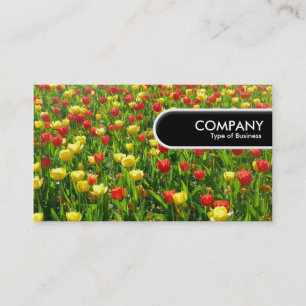 Abgerundete Kante Tag - Meer der Tulpen II