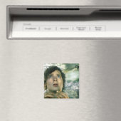 Abgescannter FRODO™-Holing Magnet (In Situ (Geschirrspüler))