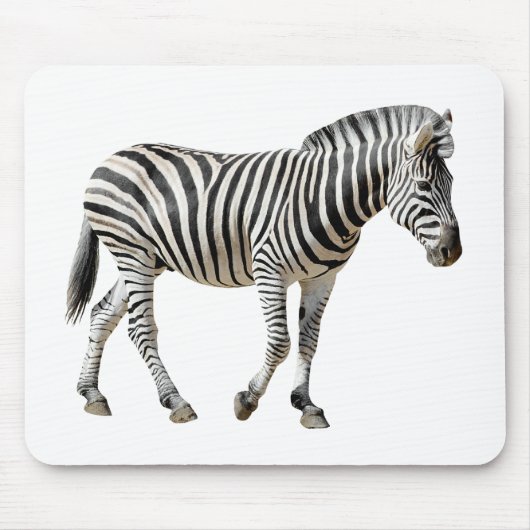 Abgeschieden Burchell Zebra Mousepad (Vorne)