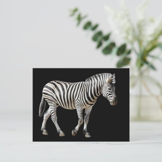 Abgeschieden Burchell Zebra Postkarte (Stehend Vorderseite)