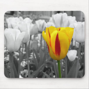 Abgeschieden Tuli[ Mousepad