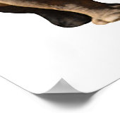 Abgeschieden zwei weiße Rhinozeros Poster (Ecke)