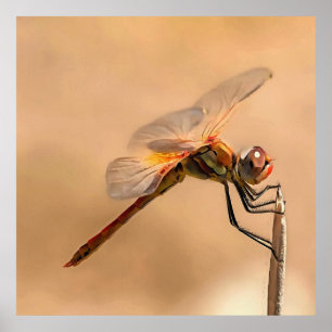 Abgeschiedene Libelle gegen Ecru Poster