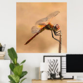 Abgeschiedene Libelle gegen Ecru Poster (Heimbüro)