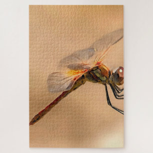 Abgeschiedene Libelle gegen Ecru Puzzle