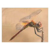 Abgeschiedene Libelle gegen Ecru Tischdecke (Vorderseite (Horizontal))