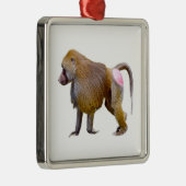 Abgeschiedener Babowanderweg Postkartenaufkleber Ornament Aus Metall (Rechts)