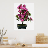 Abgeschiedener Bonsai-Rhododendron blühend Poster (Küche)