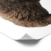 Abgeschiedener Braunbär Poster (Ecke)