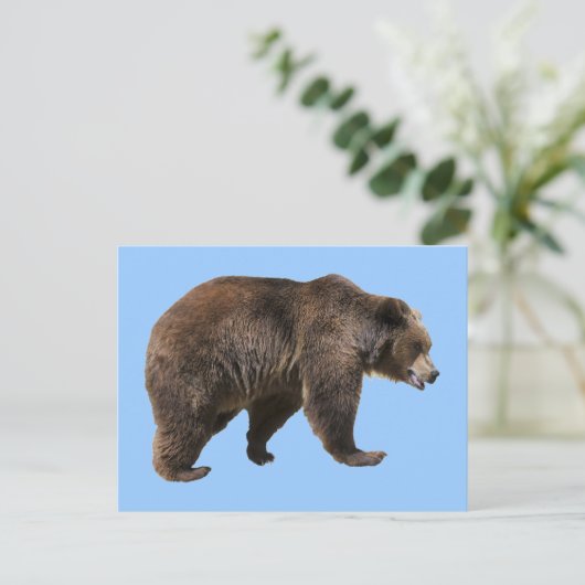 Abgeschiedener Braunbär Postkarte (Stehend Vorderseite)