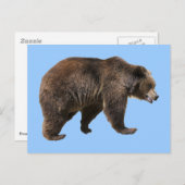 Abgeschiedener Braunbär Postkarte (Vorne/Hinten)