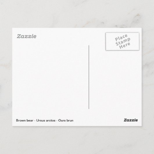 Abgeschiedener Braunbär Postkarte (Rückseite)