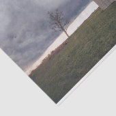 Abgeschiedener Cremestall mit einsamen Bäumen Seidenpapier (Ausschnitt)