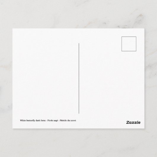 Abgeschiedener grüner Weißschmetterling Postkarte (Rückseite)